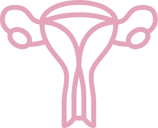 Gynaecological <br />Cancer